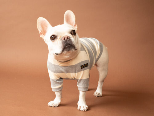 BASIC BORDER TEE【GRY*KINARI】 - 画像 (6)