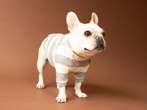 BASIC BORDER TEE【GRY*KINARI】 - 画像 (5)