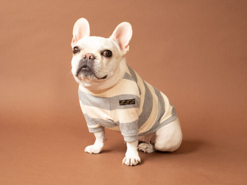 BASIC BORDER TEE【GRY*KINARI】 - 画像 (8)