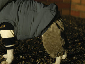 Transform COAT Pants【KOD】