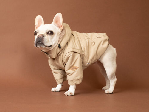 Transform COAT【L/BEG】 - 画像 (6)