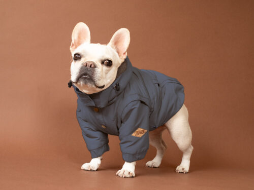 Transform COAT【CCL】 - 画像 (2)