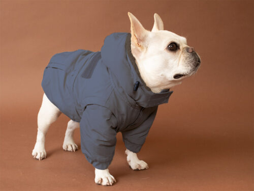Transform COAT【CCL】 - 画像 (4)