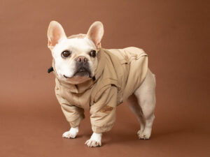 Transform COAT【L/BEG】