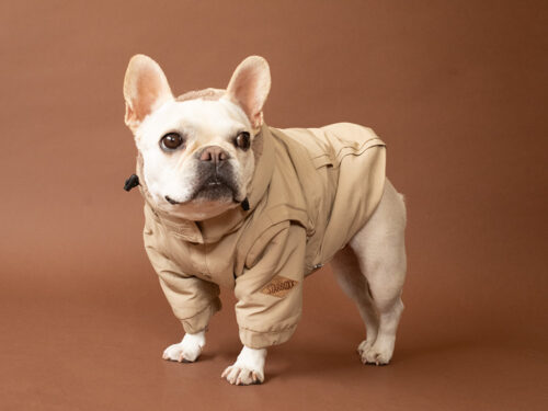 Transform COAT【L/BEG】