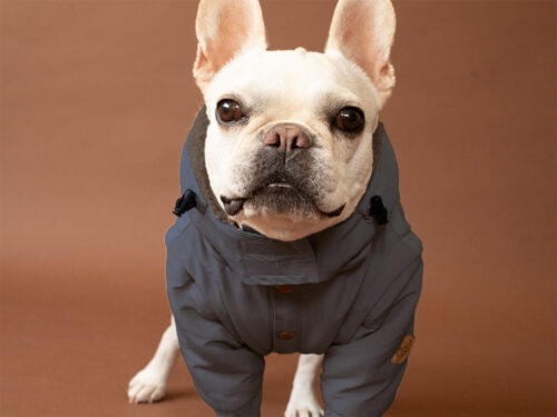 Transform COAT【CCL】 - 画像 (3)
