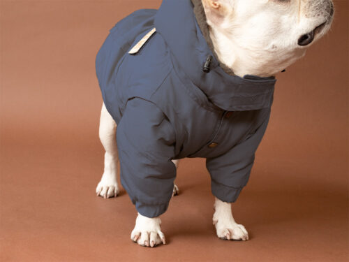 Transform COAT【CCL】 - 画像 (5)