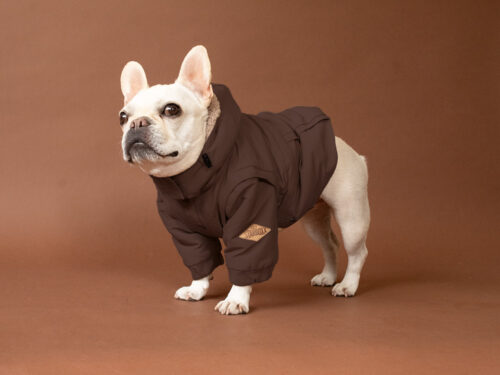 Transform COAT【BRN】 - 画像 (4)