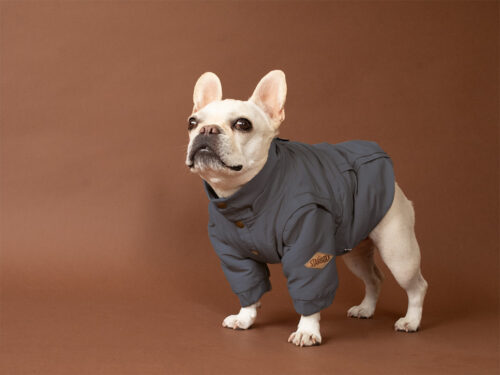Transform COAT【CCL】 - 画像 (6)