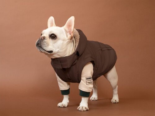 Transform COAT【BRN】 - 画像 (6)