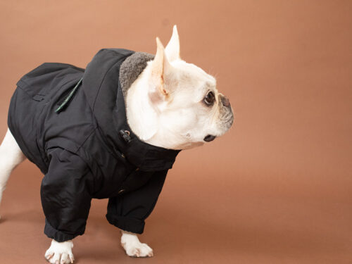 Transform COAT【BLK】 - 画像 (4)