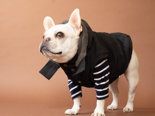 Transform COAT【BLK】 - 画像 (5)