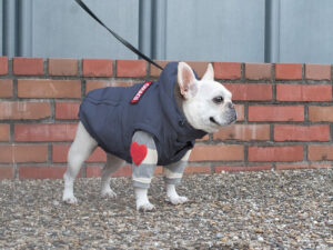Transform COAT【CCL】