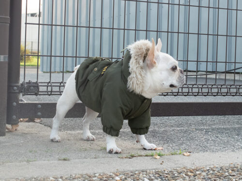MOZZ COAT【KHK】 - 画像 (4)