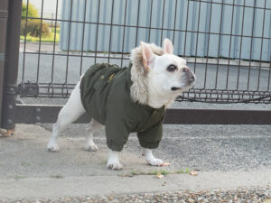MOZZ COAT【KHK】