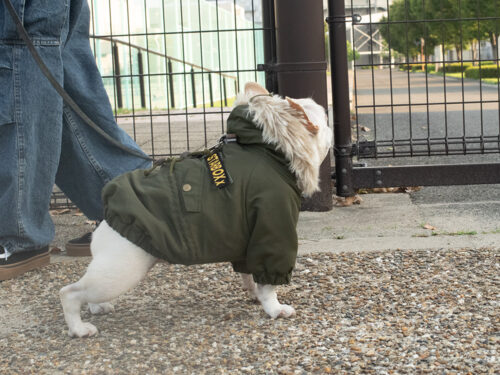 MOZZ COAT【KHK】 - 画像 (2)