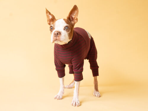 HUGWARM suit【WINE*BRN】 - 画像 (4)