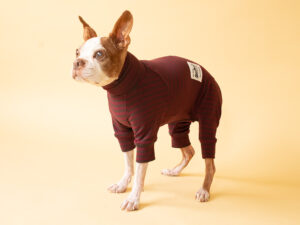 HUGWARM suit【WINE*BRN】