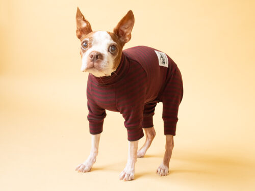 HUGWARM suit【WINE*BRN】 - 画像 (2)