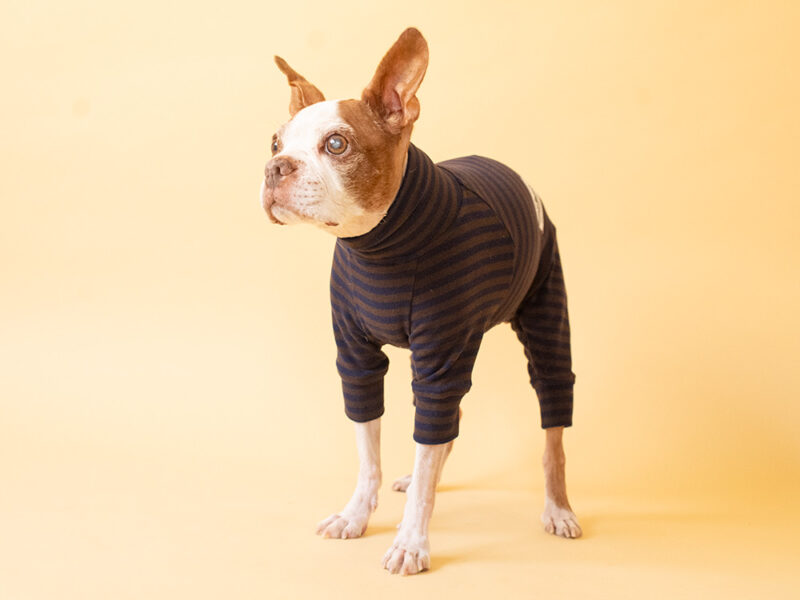HUGWARM suit - 画像 (12)