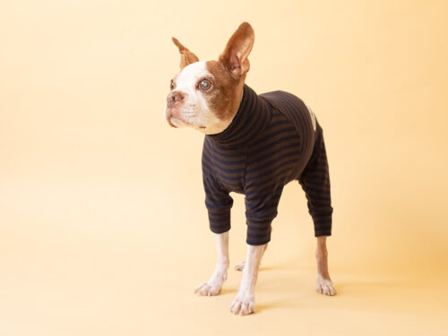 HUGWARM suit【D/BRN*NAV】 - 画像 (6)