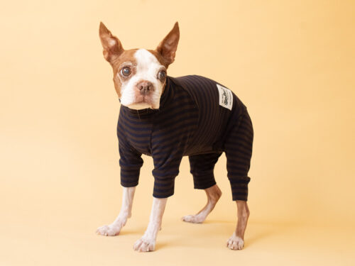 HUGWARM suit【D/BRN*NAV】 - 画像 (5)