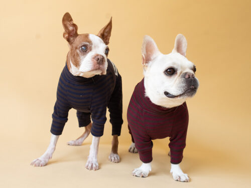 HUGWARM suit【WINE*BRN】 - 画像 (10)