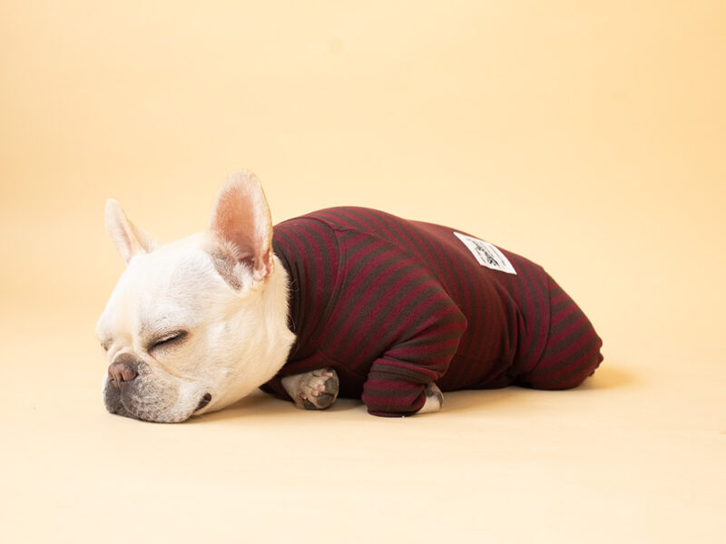 HUGWARM suit - 画像 (18)