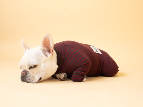 HUGWARM suit【WINE*BRN】 - 画像 (9)