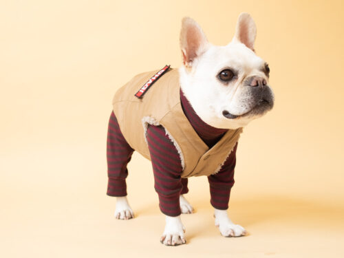 HUGWARM suit【WINE*BRN】 - 画像 (8)