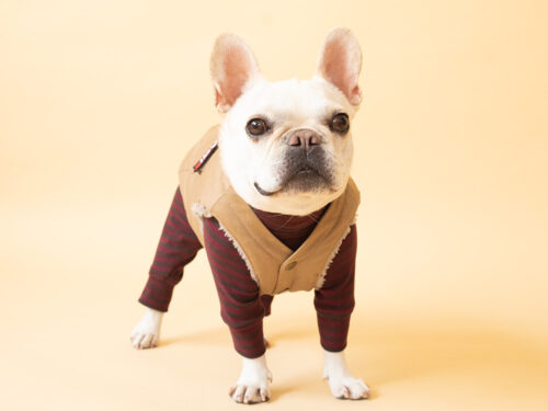 HUGWARM suit【WINE*BRN】 - 画像 (7)