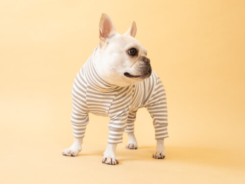 HUGWARM suit【GRY*OW】 - 画像 (5)