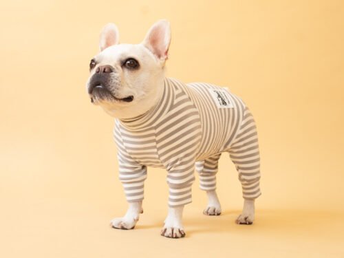 HUGWARM suit【GRY*OW】 - 画像 (4)