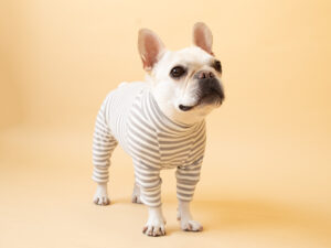 HUGWARM suit【GRY*OW】