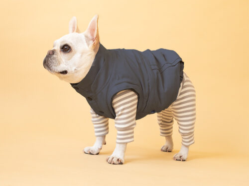 Transform COAT【CCL】 - 画像 (9)