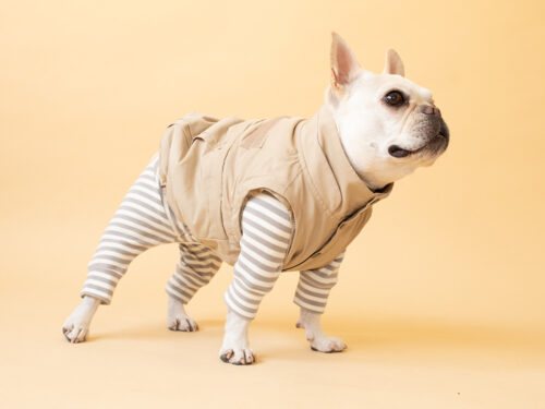 HUGWARM suit【GRY*OW】 - 画像 (2)