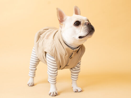 HUGWARM suit【GRY*OW】 - 画像 (7)