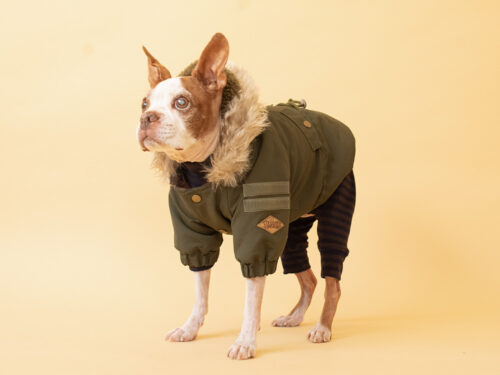 MOZZ COAT【KHK】 - 画像 (6)