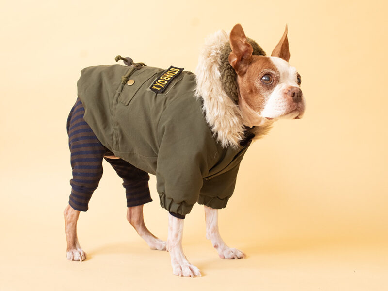 HUGWARM suit - 画像 (15)