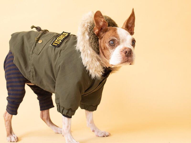 MOZZ COAT - 画像 (12)