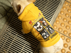 Custom BAND Parka