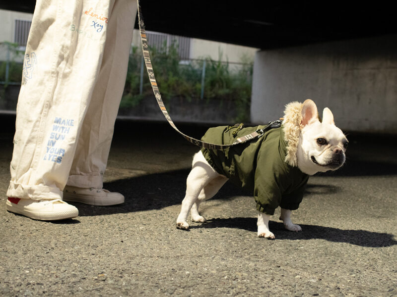 MOZZ COAT - 画像 (7)