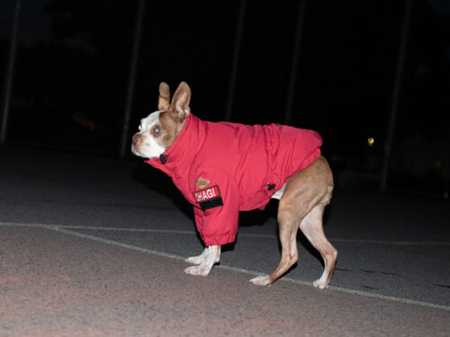 CRUSH COAT【RED】 - 画像 (2)