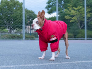 CRUSH COAT【RED】