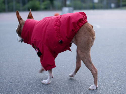 CRUSH COAT【RED】 - 画像 (5)