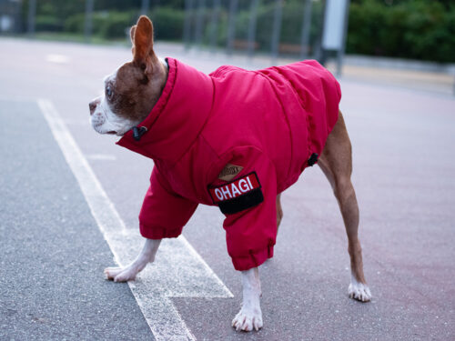 CRUSH COAT【RED】 - 画像 (6)