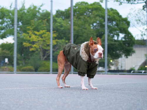 MOZZ COAT【KHK】 - 画像 (5)