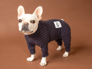 HUGWARM suit【D/BRN*NAV】