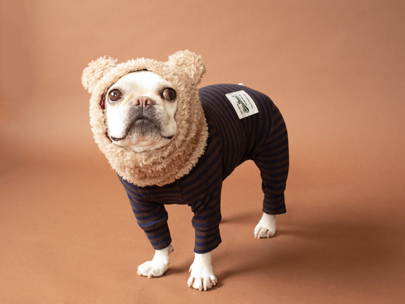 HUGWARM suit - 画像 (14)