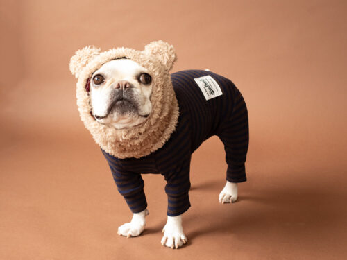 HUGWARM suit【D/BRN*NAV】 - 画像 (2)
